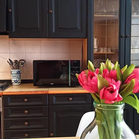 Pia's In Pieno Centro Storico Διαμέρισμα Παλέρμο